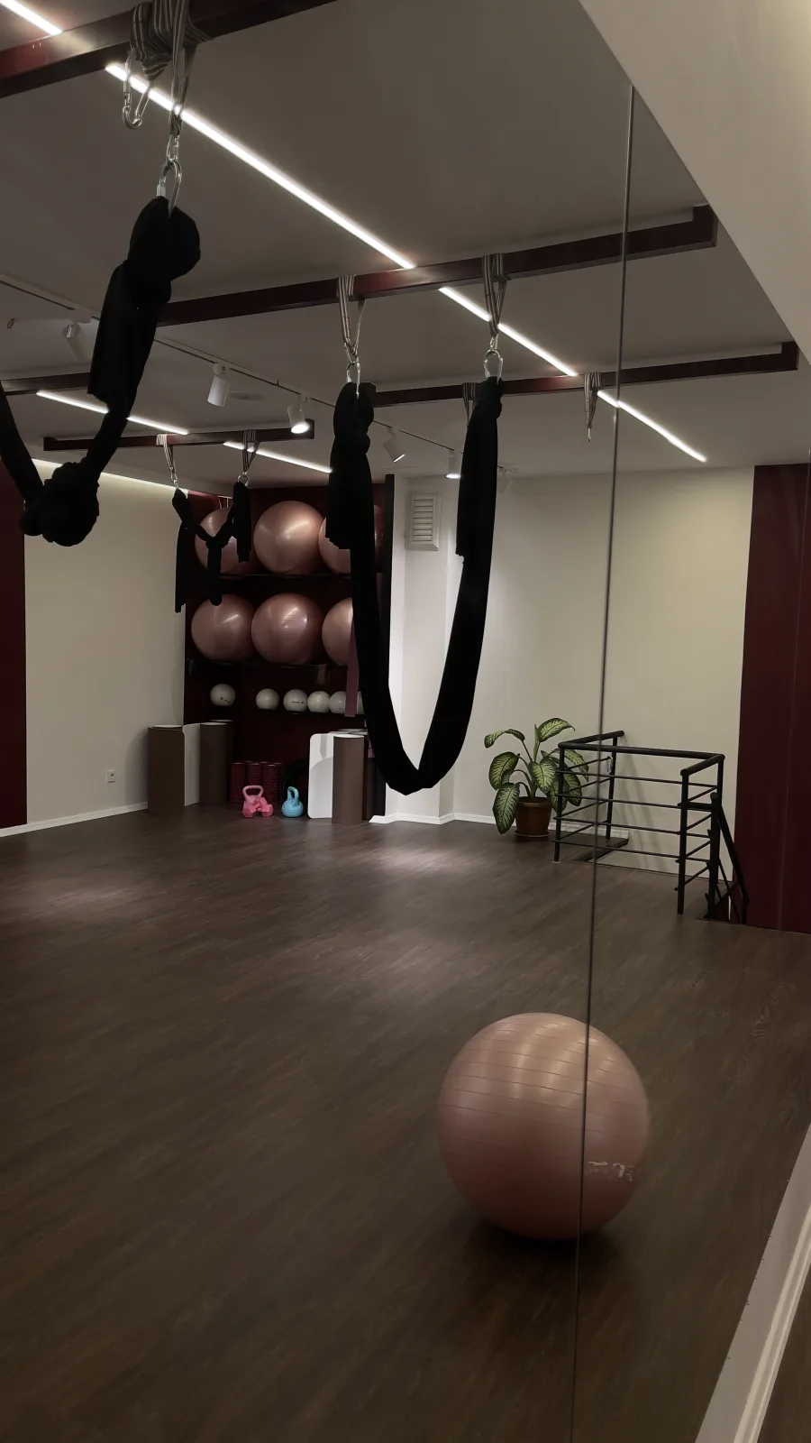 Moya Fit reformer pilates seansı
